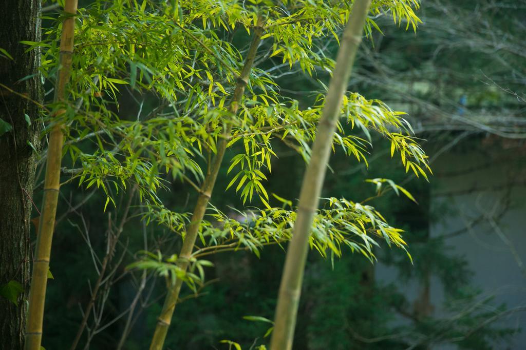 Отель Kinosato Yamanoyu Коконоэ Экстерьер фото